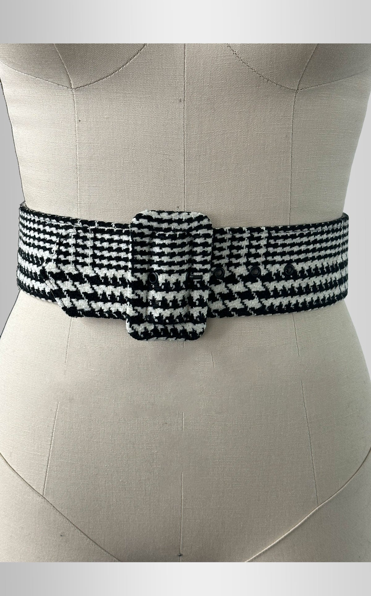 Emily Skirt and Belt