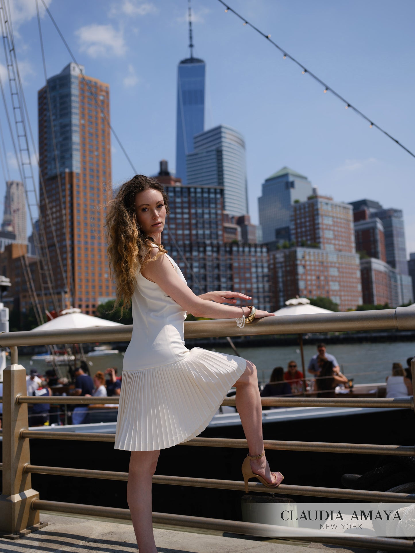 Hudson Mini Dress