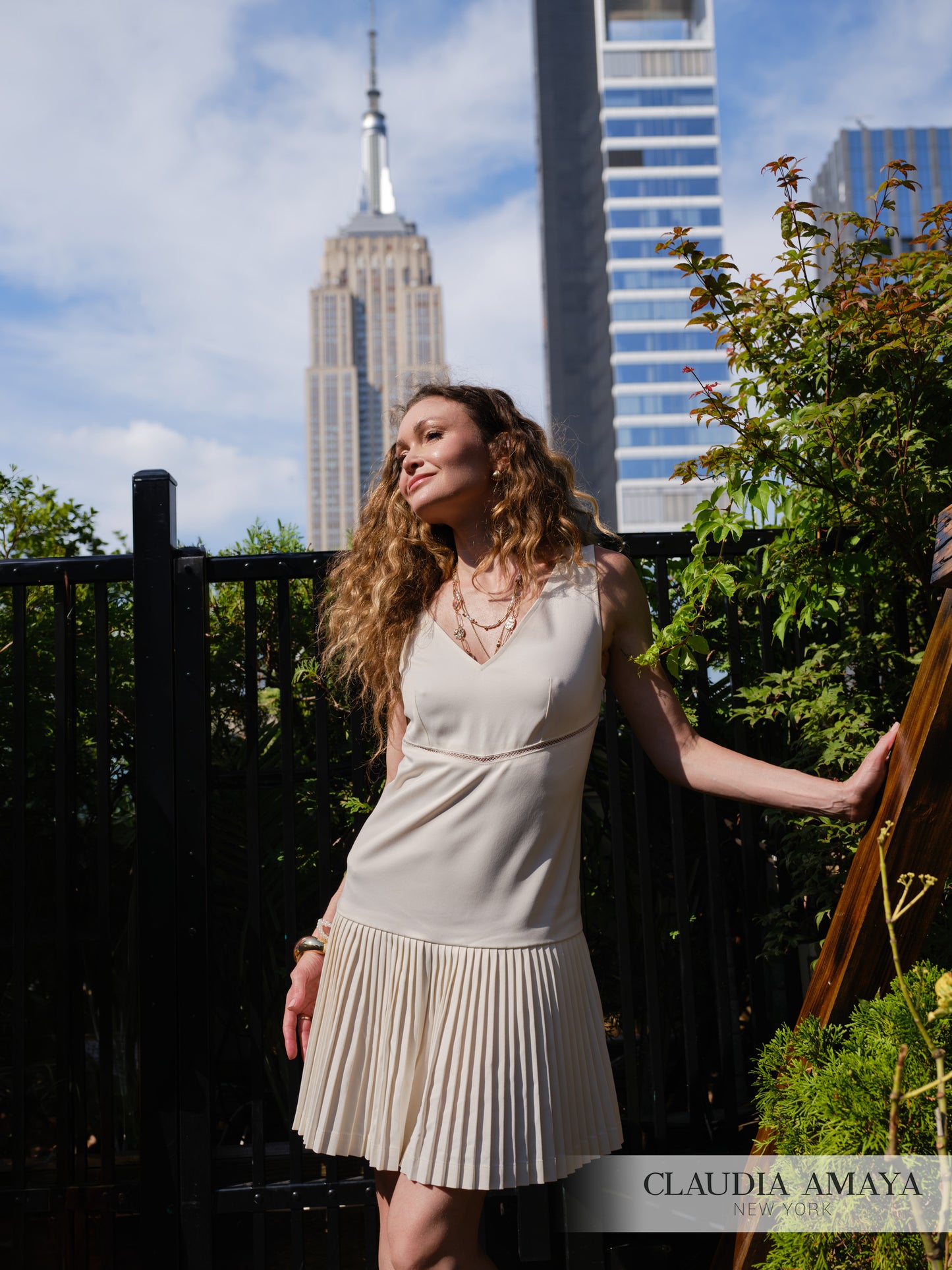 Hudson Mini Dress