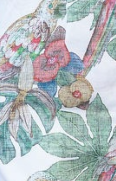 Parrot Print Tank Top